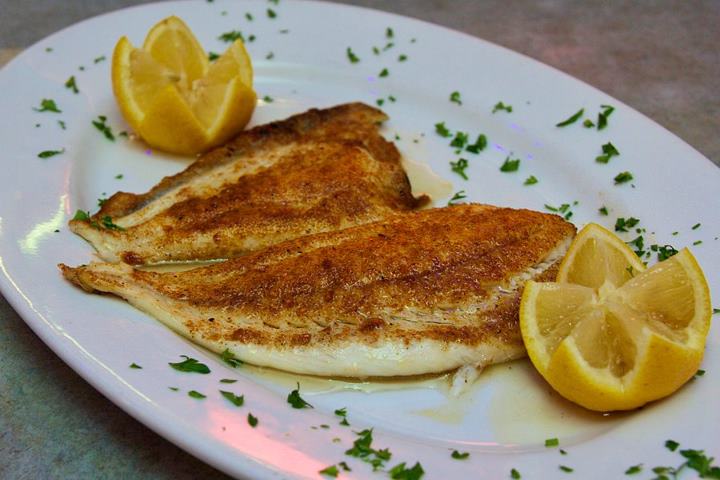 Baby Flounder Pictures